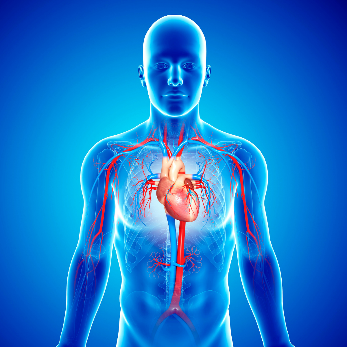 Nuvivo - Signature Health Assesment