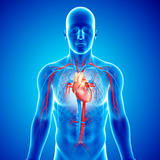 Nuvivo - Signature Health Assesment