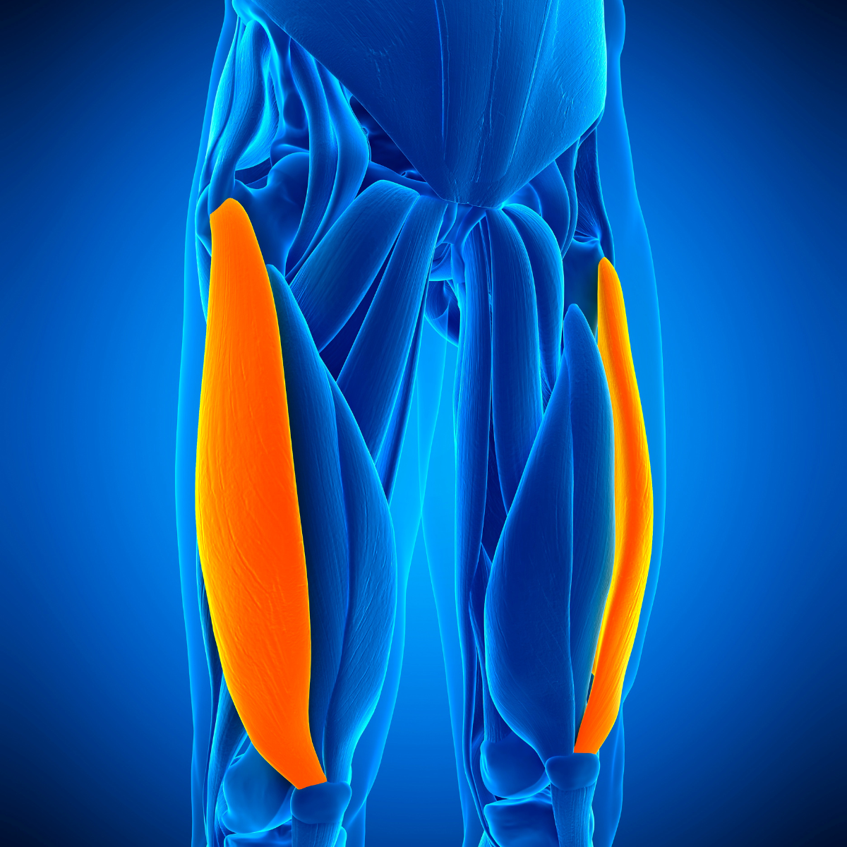 Compression Boots Session - 30 minutes