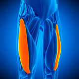 Compression Boots Session - 30 minutes
